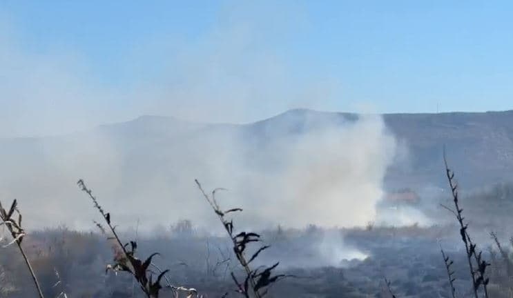 Zjarr masiv në Lezhë, flakët përfshijnë sipërfaqe të gjerë bujqësore