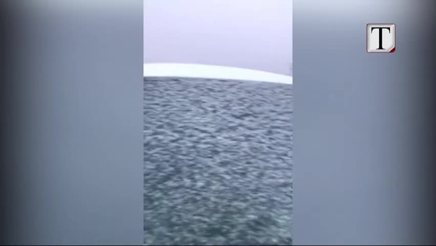 Borë në Arabinë Saudite, fluks turistësh