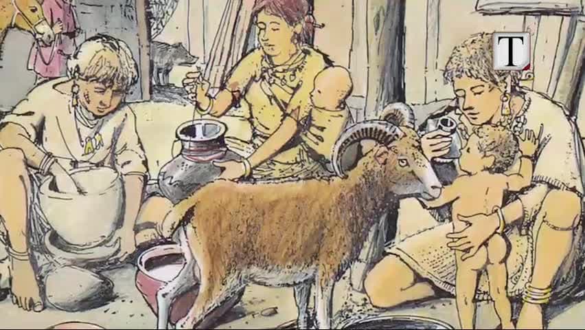Bebet prehistorike ushqeheshin me biberon (VIDEO)