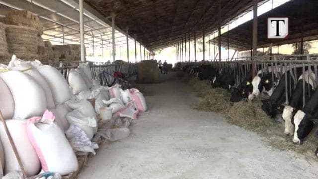 Rriten kostot në bujqësi (VIDEO)