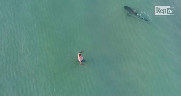 E frikshme, peshkaqeni noton mes plazhistëve në Miami (VIDEO)