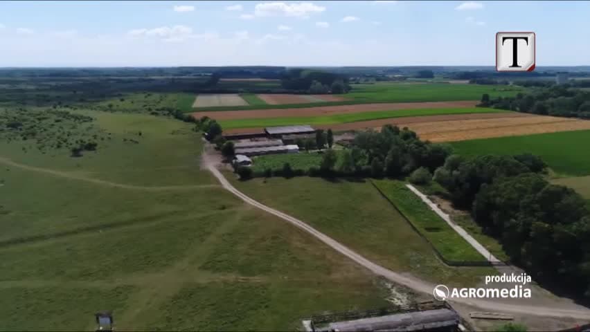 Luksi i sportistëve, nga ishulli i Ibra-s dhe helikopteri i Neymar (VIDEO)