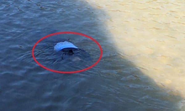 Vetëhidhet nga ura mbi lumin Shkumbin, ndërron jetë 75-vjeçari
