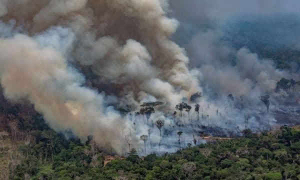 Zjarret në Amazonë/ Brazili refuzon ndihmën 22 milionëshe të vendeve të G7 (VIDEO)
