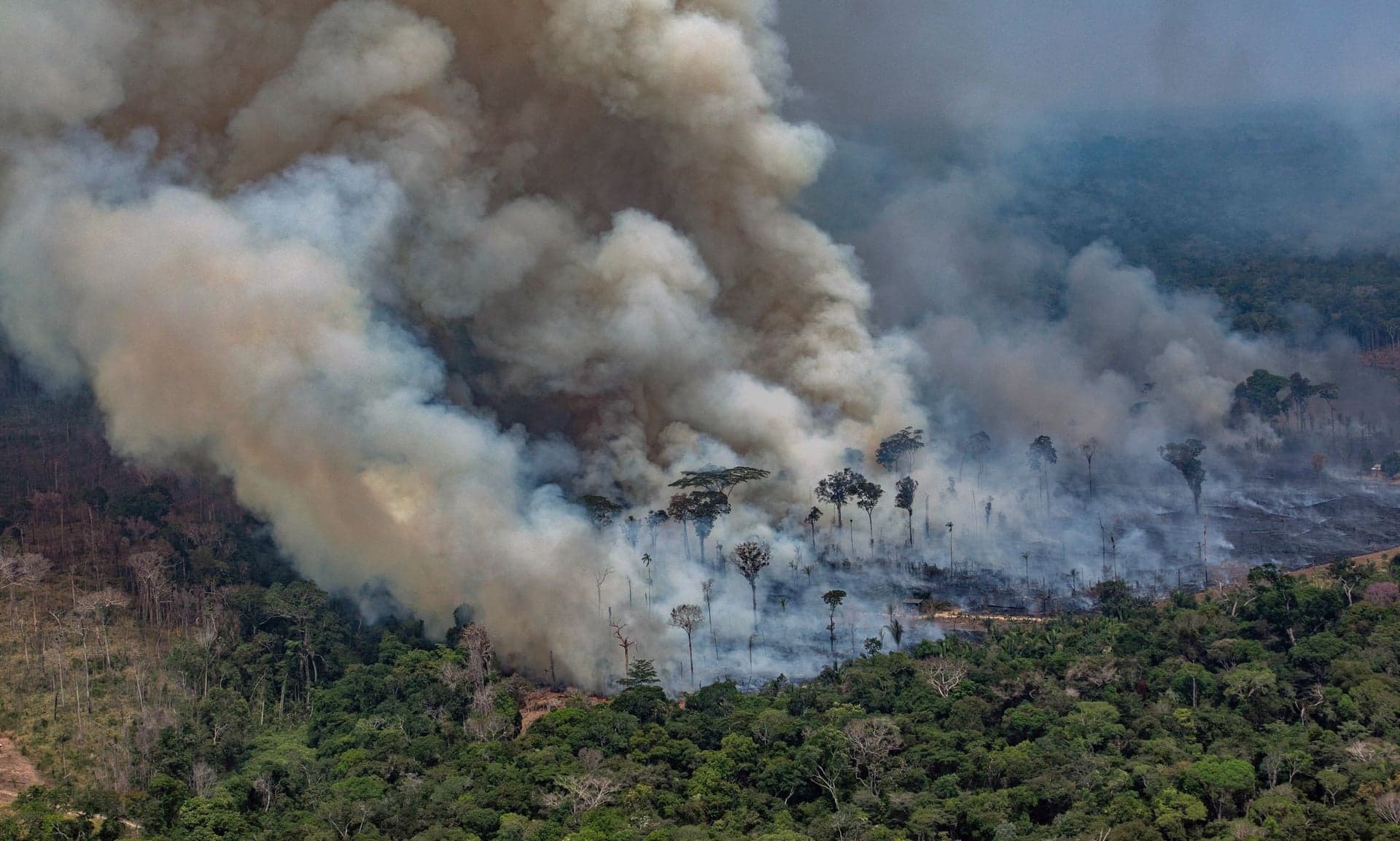Zjarret në Amazonë/ Liderët botëror të G7 afër një marrëveshje (VIDEO)