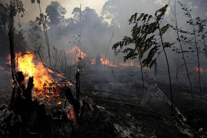 Sërish zjarr në Amazonë, i kërkohet ndihmë ushtrisë