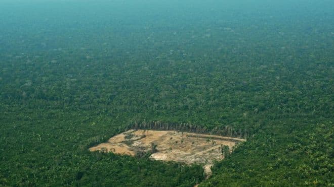 Brazili thotë se shpyllëzimi i Amazonës është më i keqi në 10 vitet e fundit