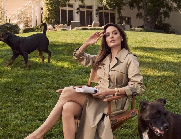 Angelina Jolie përmend për herë të parë Brad Pitt në një intervistë të rrallë dhe tregon vështirësitë e divorcit