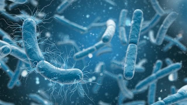 Krijohen antibiotikë të rinj me funksion të dyfishtë
