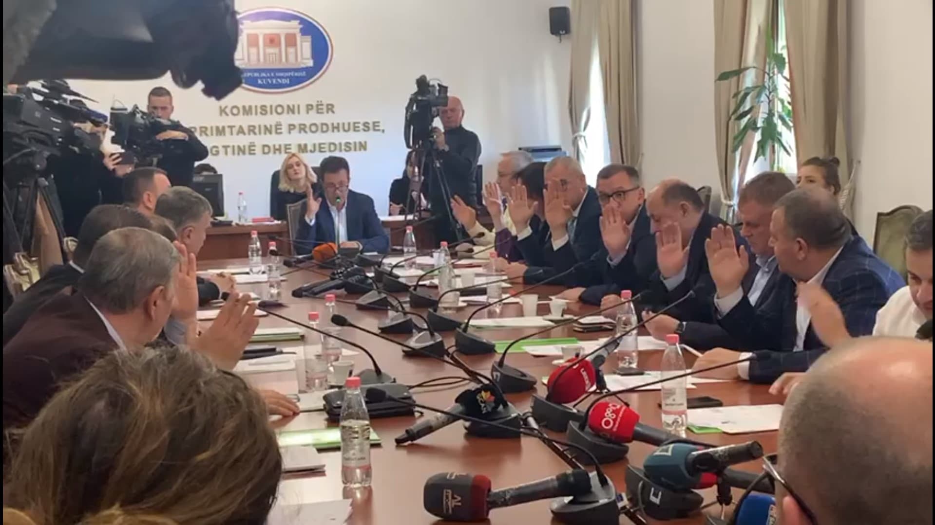 "Antishpifja" shkon në Komisionin e Venecias (VIDEO)