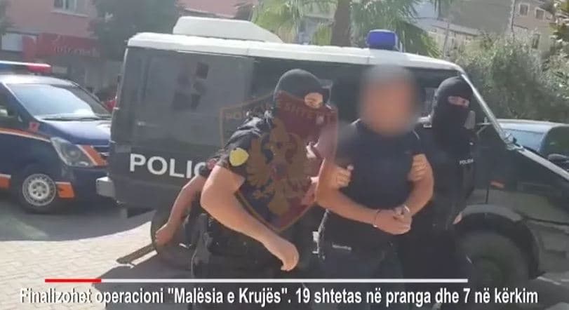  Kultivonin kanabis në pyjet e Malësisë së Krujës: 19 të arrestuar e 7 në kërkim