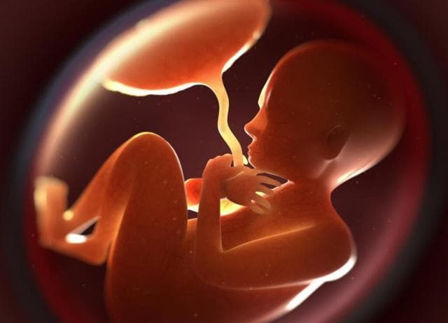 Plastika është kudo, edhe në placentën e bebeve të palindura