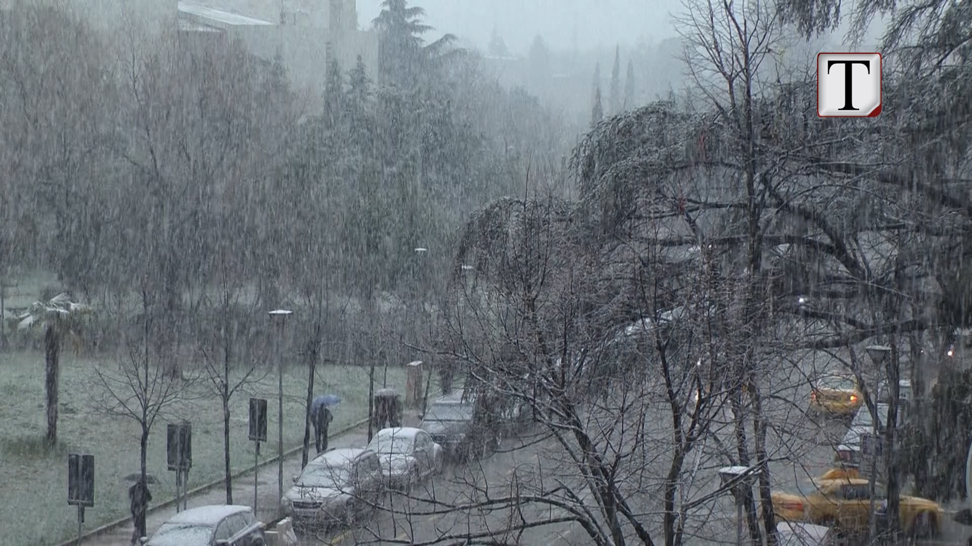 Reshjet e dendura të dëborës zbardhin edhe Tiranën (VIDEO)