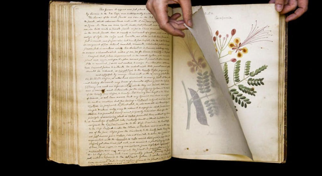 Libri i humbur i vizatimeve elegante shkencore rizbulohet pas 190 vjetësh (FOTO)