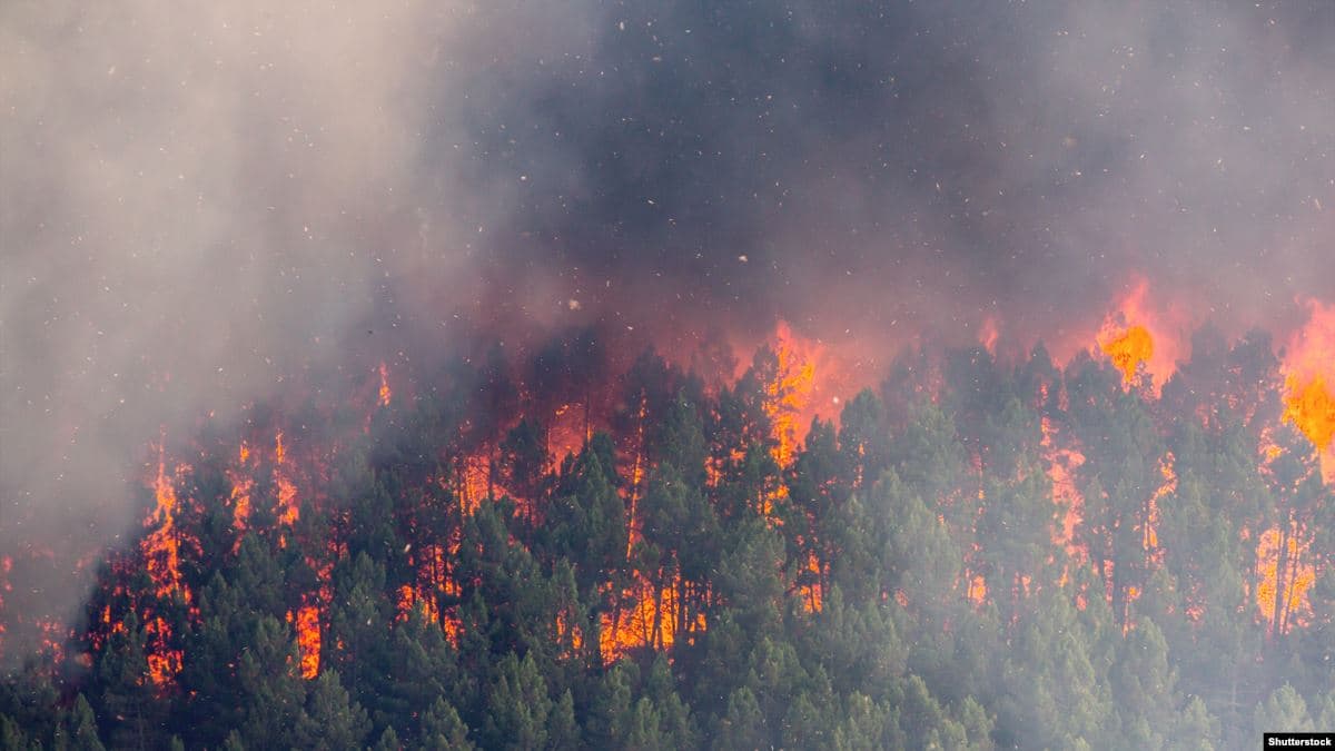 Brazil, rekord zjarresh në pyllin e Amazonës  (VIDEO)