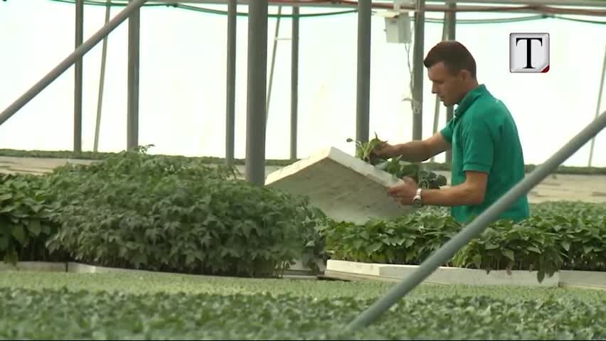 Fondet e bujqësisë, në listë edhe OJQ-të e 100 fshatrave (VIDEO)
