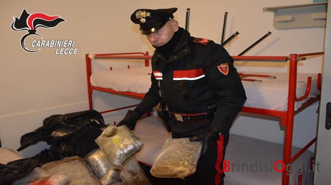 Itali, dy shqiptarë dhe një italian kapen me 250 kg marijuanë