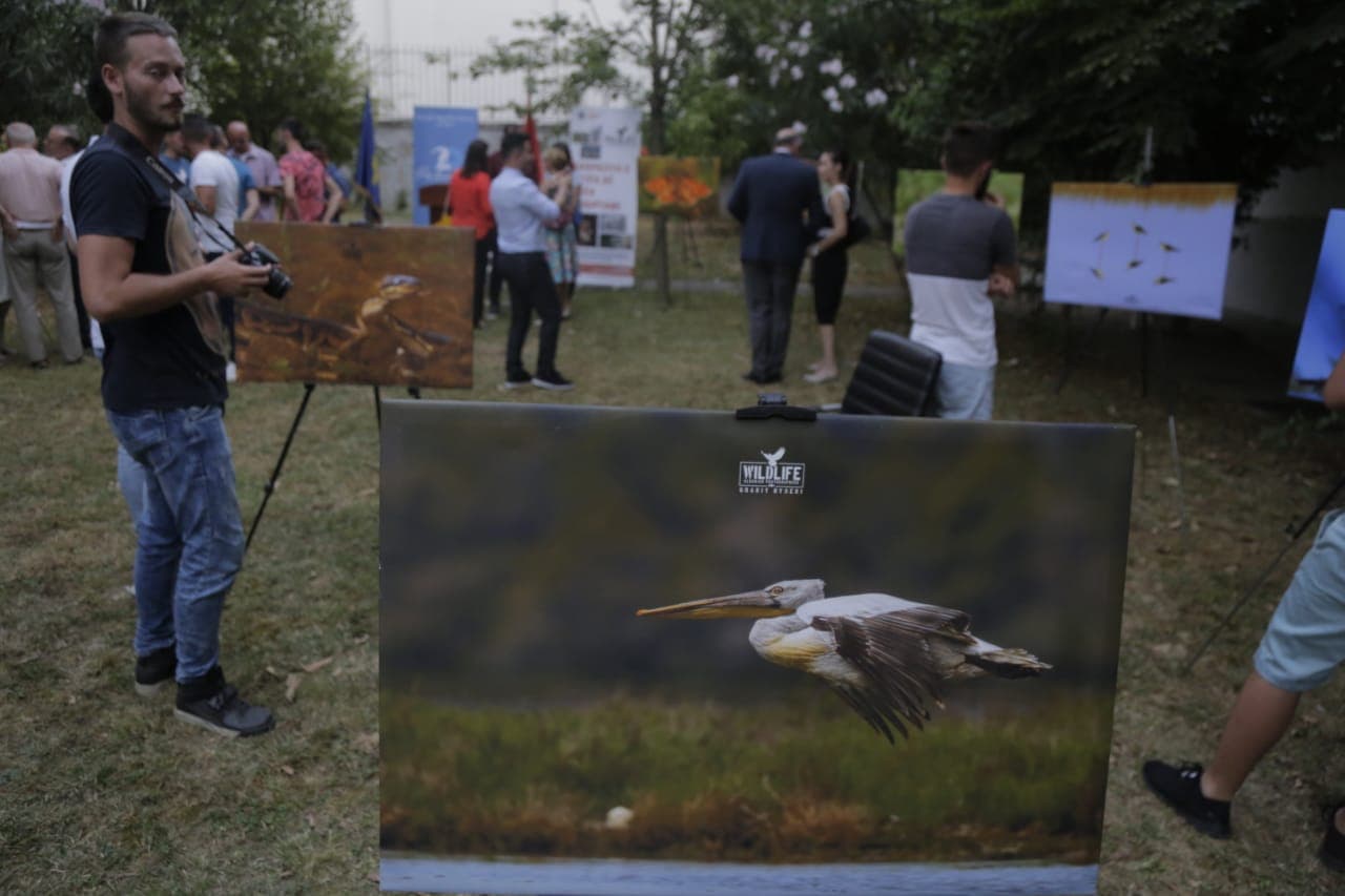 Fauna e Kosovës përmes fotove në një ekspozitë në Tiranë (FOTO)