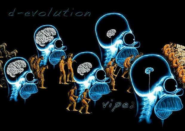 A po rriten breza më pak inteligjentë? Një studim në Norvegji nxjerr përfundime shqetësuese