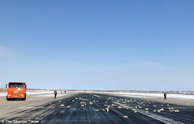 Nga aeroplani bien pllakat e arit me vlerë 265 milionë paund (VIDEO+FOTO)