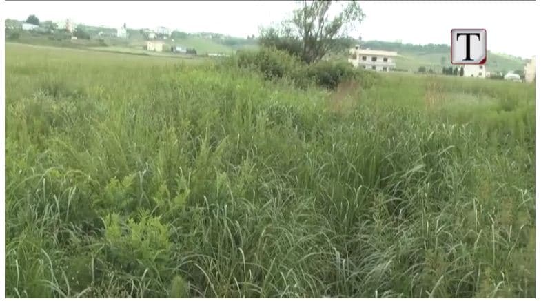 Arapaj, fshati i lënë pas dore nga pushteti (VIDEO)
