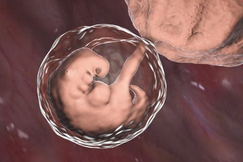 Eksperimenti i dështuar kinez për korrigjimin e gjeneve dhe përfundimet që duhen nxjerrë