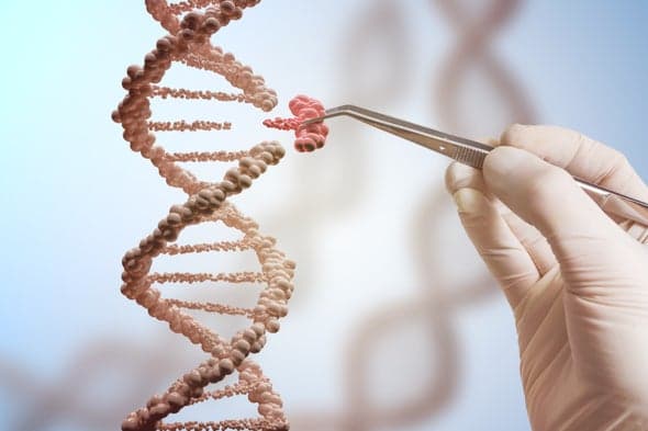 Bioteknologjia si mjegulluese e ligjeve njerëzore