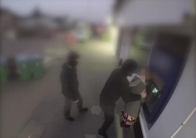 Tentuan të grabisin një grua, por i ndodh e papritura (VIDEO)