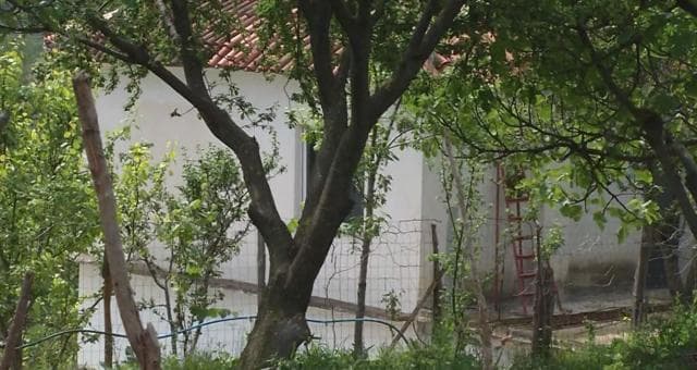Grabitja në Zall Herr/ Gjykata lë në burg tre të arrestuarit