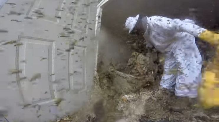 Zbulohet foleja sa një frigorifer e grerëzave të zjarrit (VIDEO)