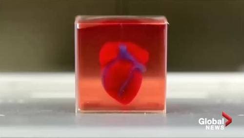 Zemra e parë 3D me lëndë njerëzore: E ardhmja e trapianteve?