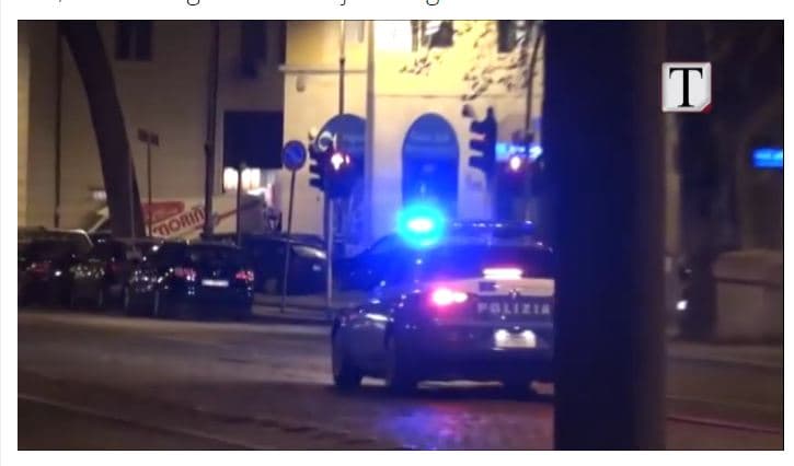 Itali, derrat e egër konsumojnë  drogën me vlerë 20 000 euro (VIDEO)