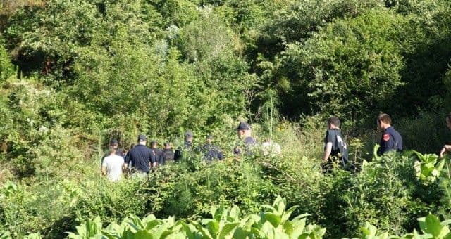 Fushata e kanabisit, mbi 2 mijë rrënjë në Krujë (VIDEO)