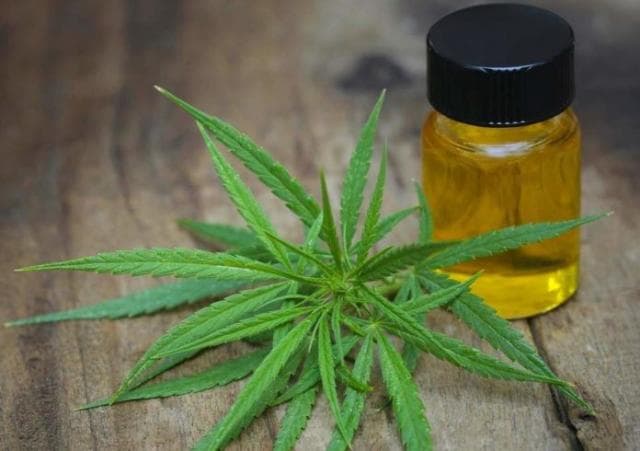 Gati drafti për legalizimin e kanabisit për qëllime mjekësore, Rama: Ka një vit që punojmë