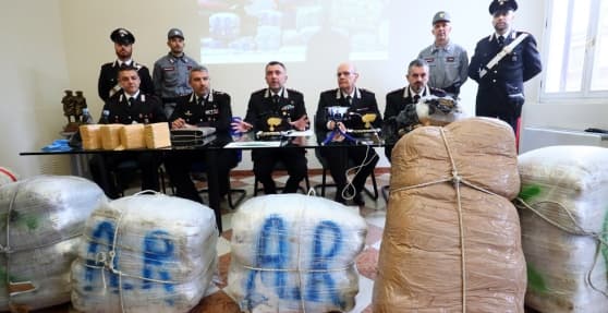 Ja si po digjet kanabisi shqiptar nga policia italiane