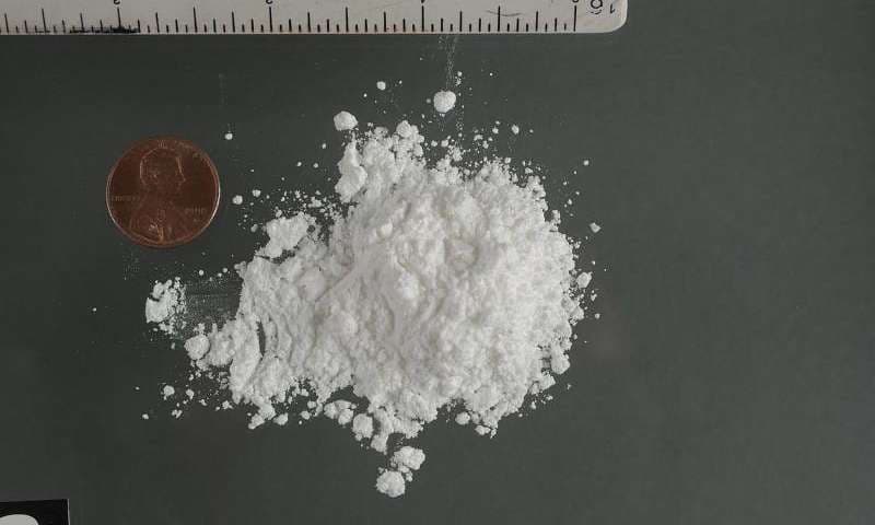 Zbulohet proteina përgjegjëse për varësinë nga kokaina