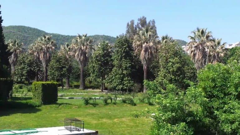 Heqja e Kopshtit Botanik nga pronësia e UT te Bashkia/ Rektor Koni: Vendim i paligjshëm