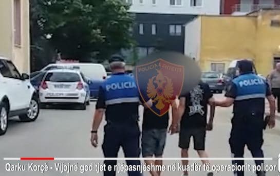        Po trafikonin 14 klandestinë/ Arrestohen gjashtë trafikantët në Korçë