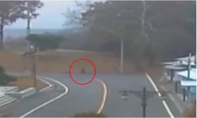 Momentet kur ushtari i Koresë së Veriut dezerton dhe qëllohet nga kolegët (VIDEO)