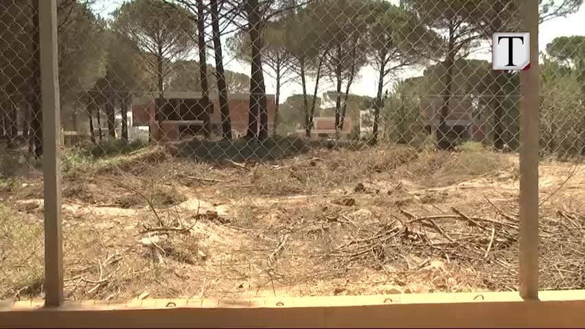 Bum ndërtimesh në Gjirin e Lalzit, pritet pylli (VIDEO)