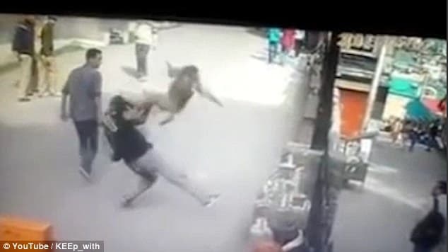 Ja çfarë i ndodhi këtij turisti pasi ngacmoi majmunin (VIDEO)