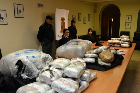 Policia italiane i prish Krishlindjet shqiptarit, kapet me 96 kg marihuanë