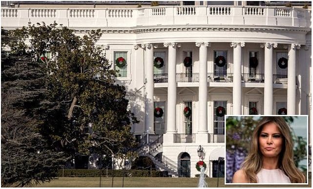 ‘Urdhëri’ i Melanie Trump për "Magnolia": Të pritet pema 200 vjeçare para Shtëpisë së Bardhë
