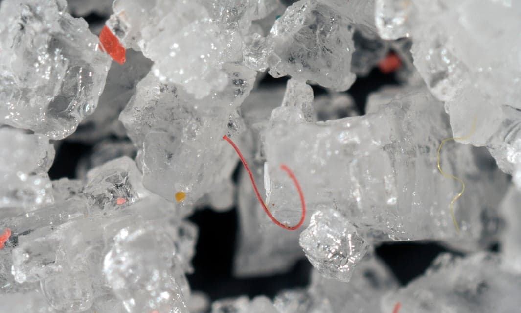 Njerëzit kapërdijnë rreth 50 000 grimca plastike në vit