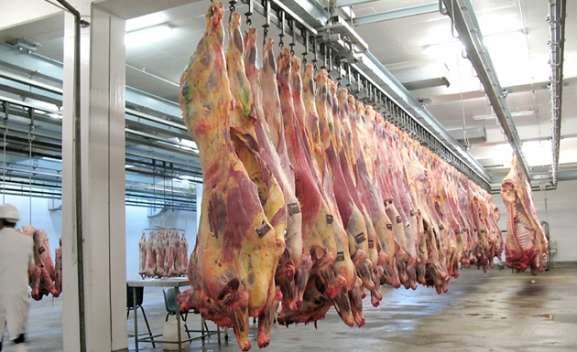 Mish me salmonelë, bllokohen 50.2 tonë të importuar nga Brazili (VIDEO)