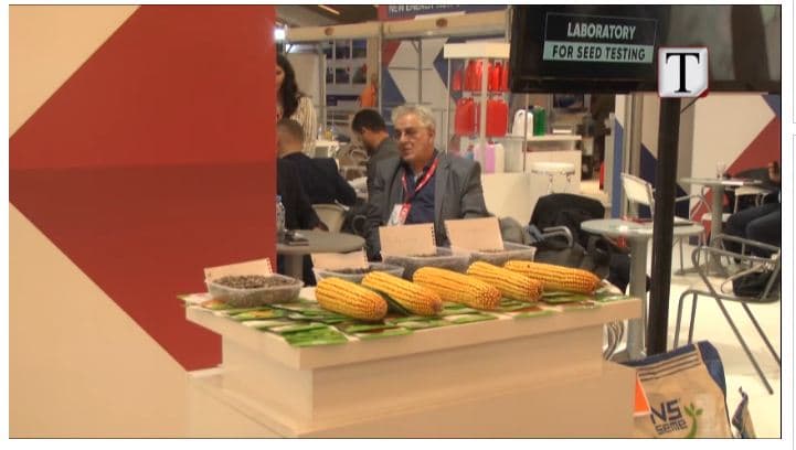 Dhoma Serbe e Tregtisë dhe Agjencia për  Zhvillim e Serbisë, bashkëpunim me Shqipërinë (VIDEO)