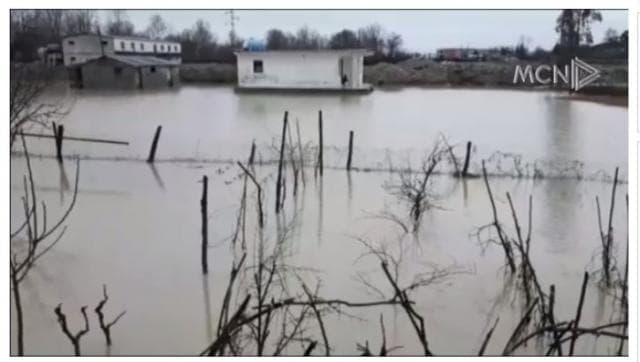Fushë-Kruja nën ujë, rrezikohen 50 banesa (VIDEO)