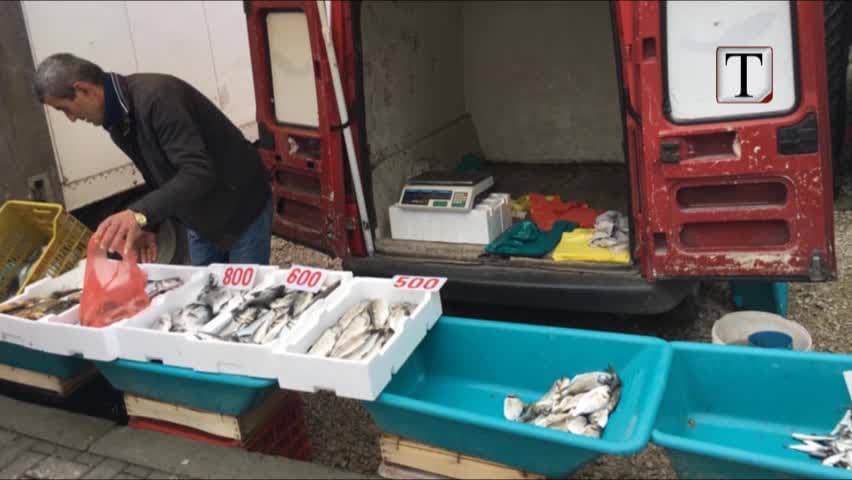 Peshk dhe mish në rrugë, gjobiten shitësit në Lezhë (VIDEO)