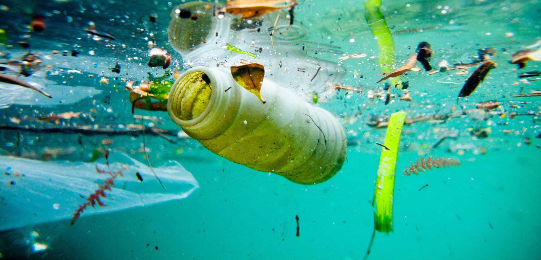 Karaibet i thonë “ndal” plastikës