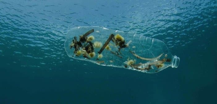 Plani britanik për reduktimin e plastikës: Rimbursohesh nëse kthen shishet